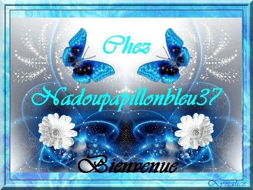 CADEAU POUR NADOUPAPILLONBLEU37